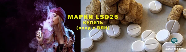 амф Алзамай